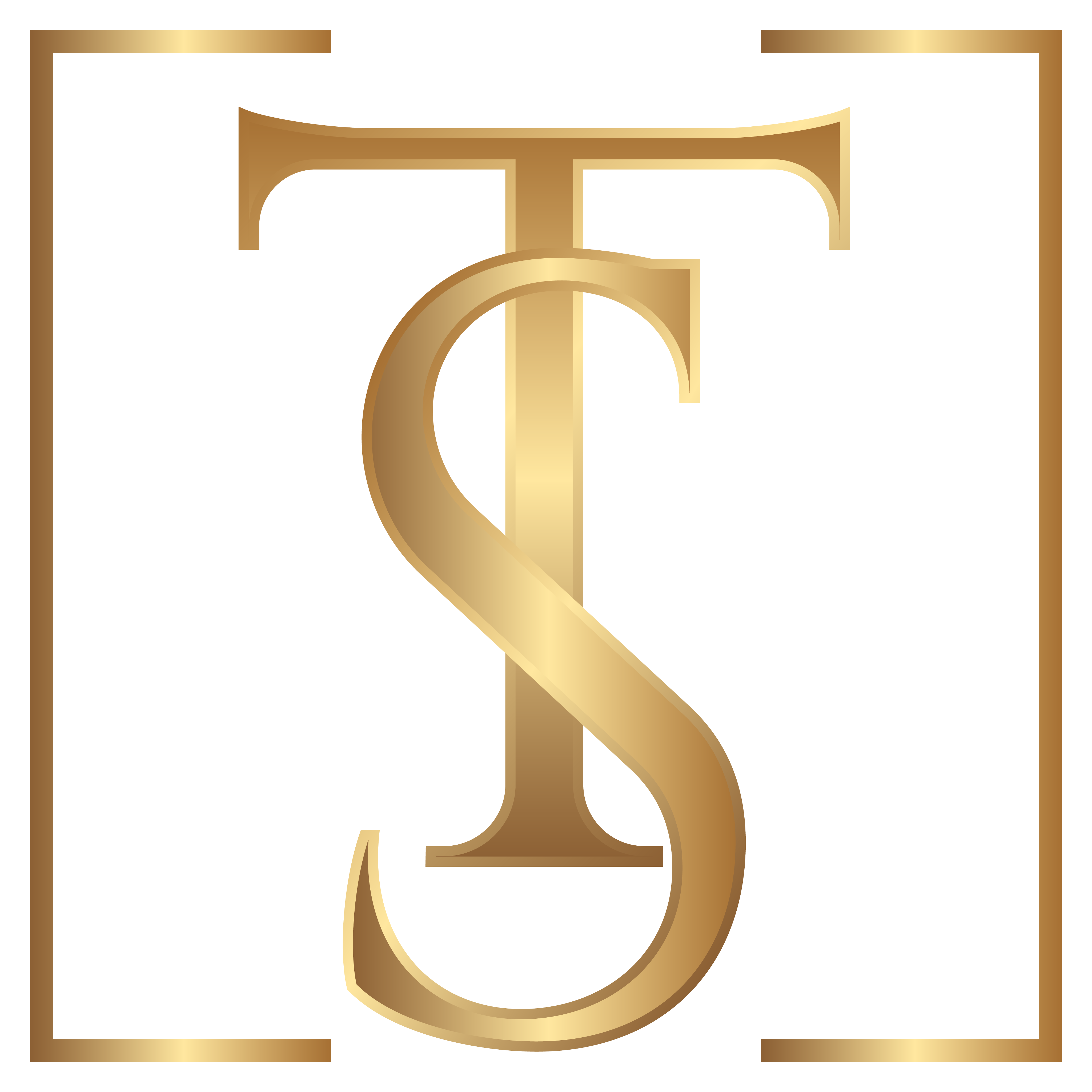Logo TS Superior